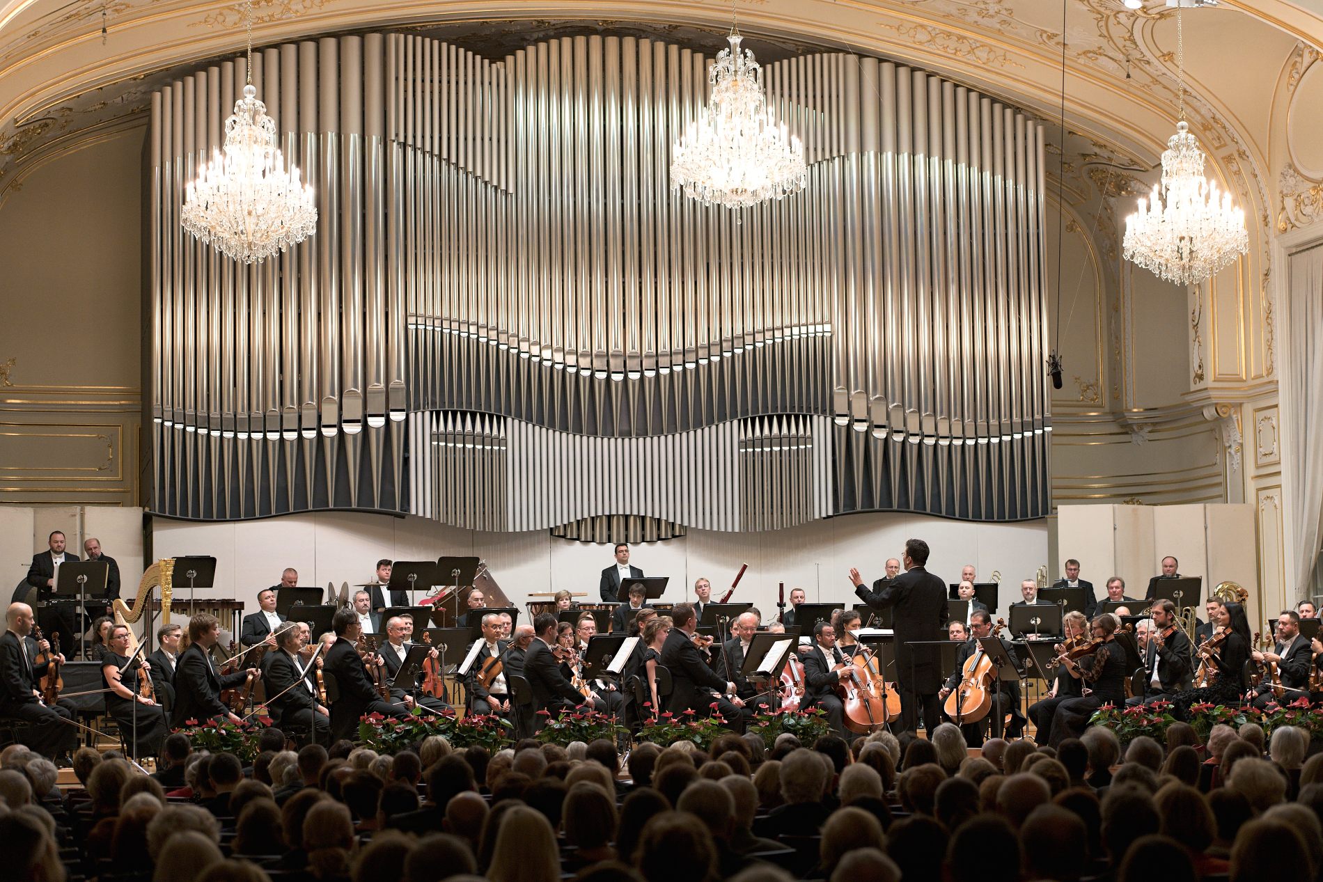 42 SF Ayyub Guliyev_Milan Pala 31 10 2019 © jan.f.lukas