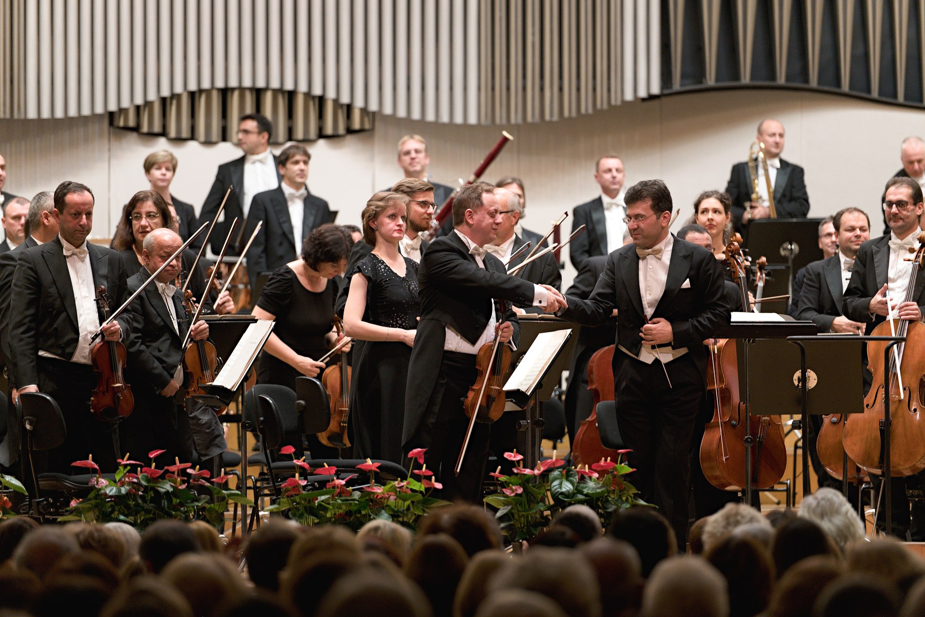 44 SF Ayyub Guliyev_Milan Pala 31 10 2019 © jan.f.lukas