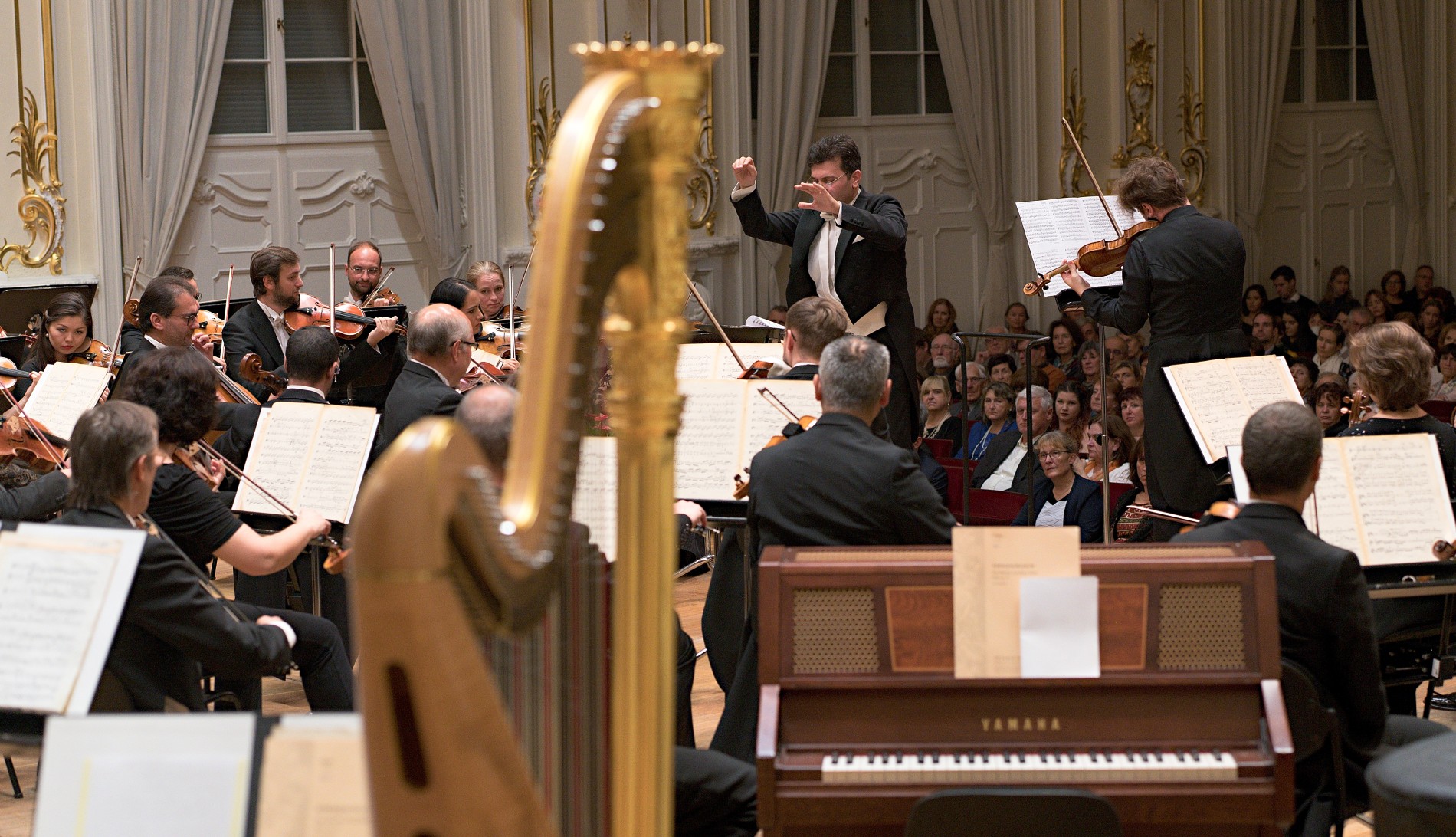 70 SF Ayyub Guliyev_Milan Pala 31 10 2019 © jan.f.lukas