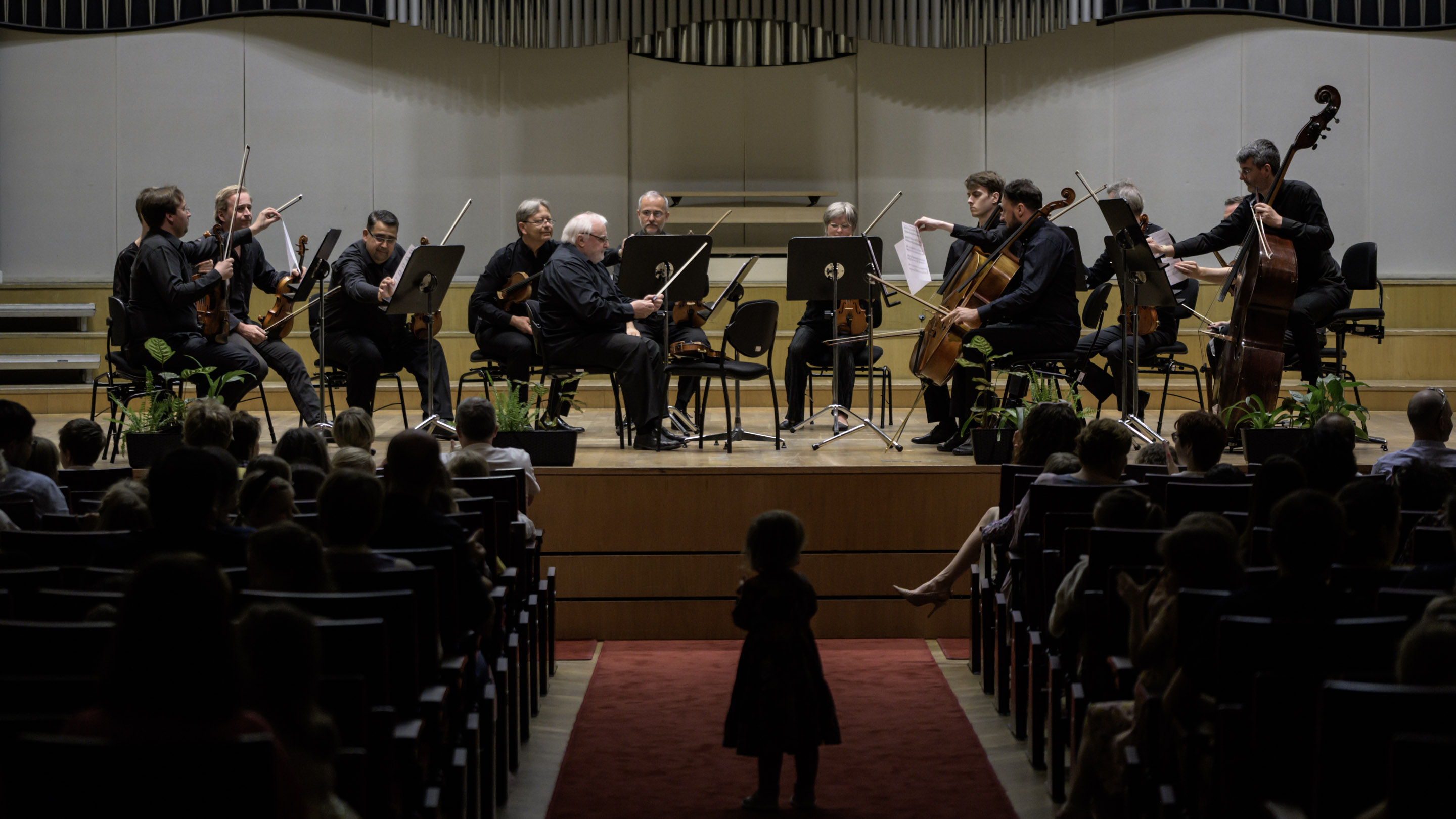 Slovenský komorný orchester