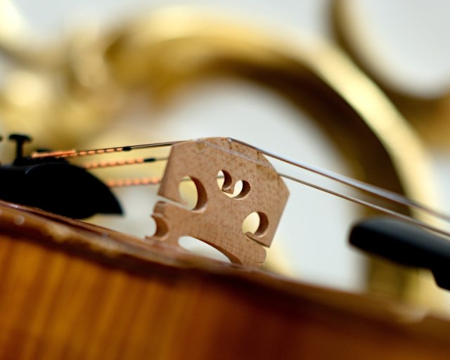 Hudobná mozaika v Malej sále SF - 10 SF Juraj Cizmarovic 12 01 2017 © jan.f.lukas 