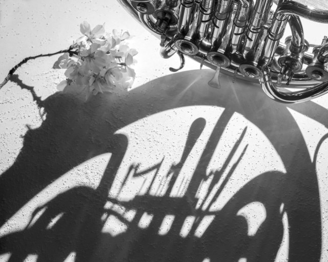 Po záverečných koncertoch v bratislavskej Redute telesá Slovenskej filharmónie odcestujú na umelecké zájazdy - 2020-03-25_LESROH-42 