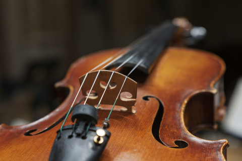 06. 05. 2025 Konkurz do Slovenskej filharmónie – tutti hráč v skupine viol - viola 