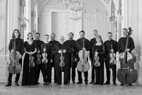 Slovenský komorný orchester
